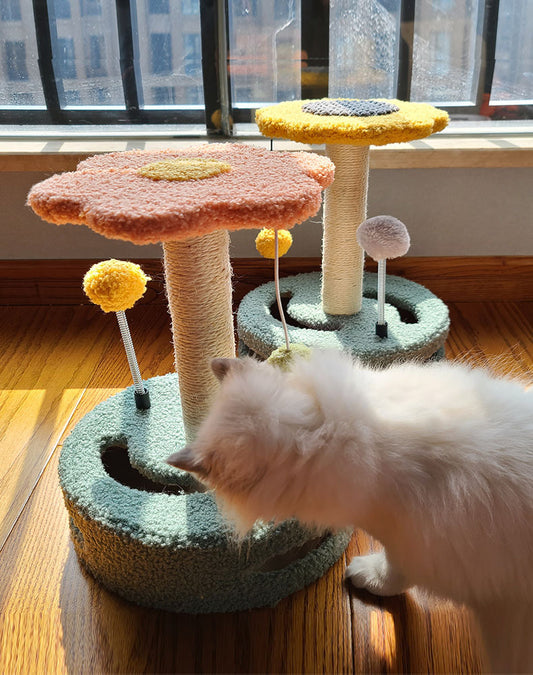 Cat Scratching Board Toy