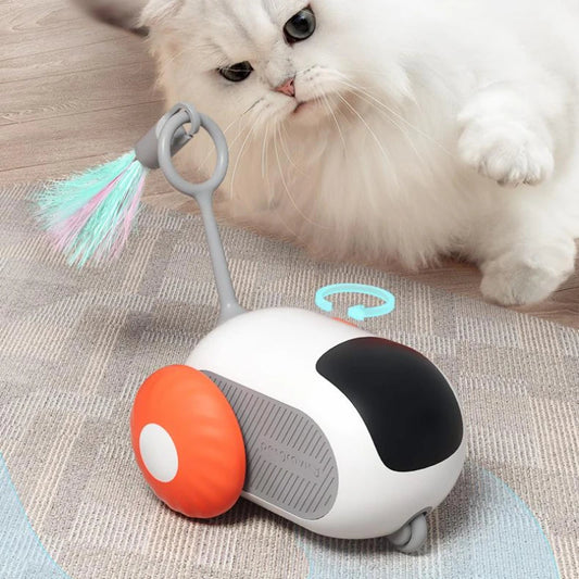 Remote Control Cat Toy Car