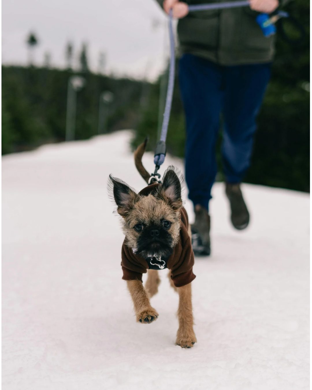 Walk & Travel Smarter