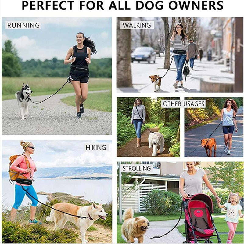 Hands Free Bungee Dog Leash