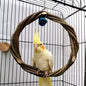 Rattan Bird Chew Toy