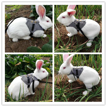 Rabbit Harness and Dress