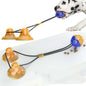 Suction Cup Pet Toy