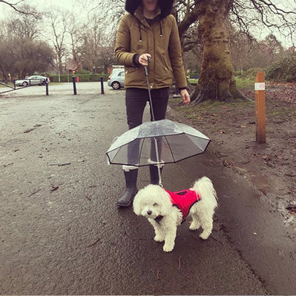 Transparent Dog Rain Umbrella