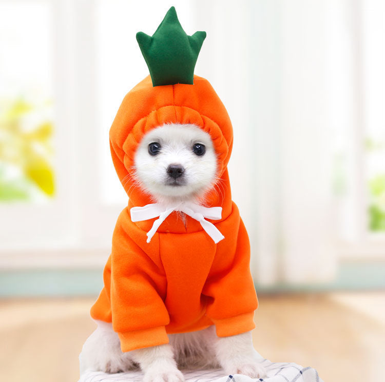 Cute Small Dog Hoodie