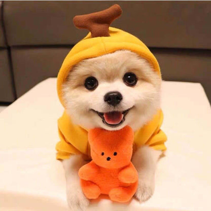 Cute Small Dog Hoodie