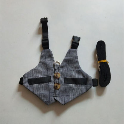 Rabbit Harness and Dress