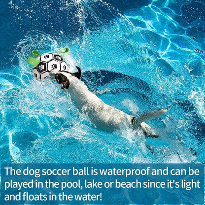 Interactive Dog Soccer Ball