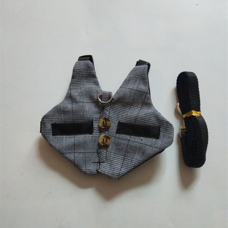 Rabbit Harness and Dress