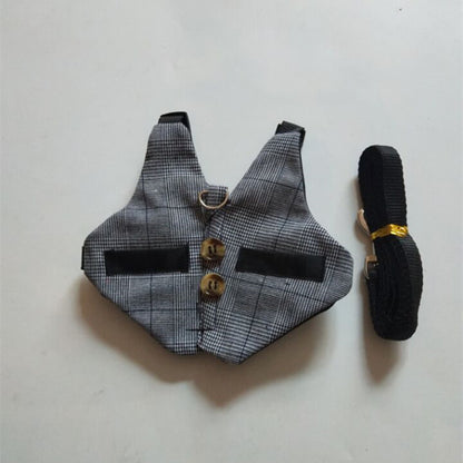 Rabbit Harness and Dress