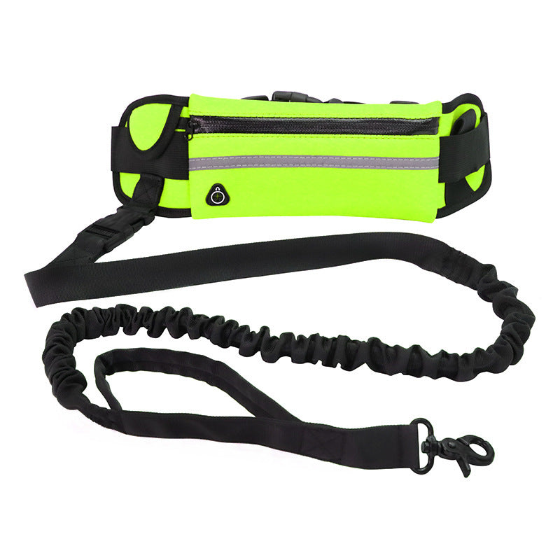 Hands Free Bungee Dog Leash