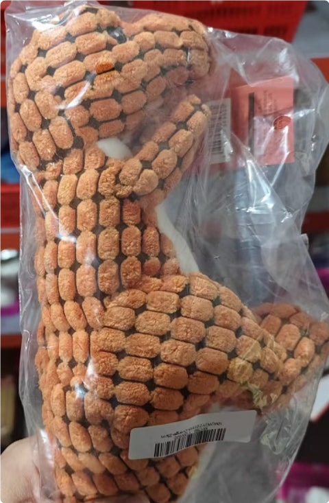 Giant Dinosaur Dog Toy