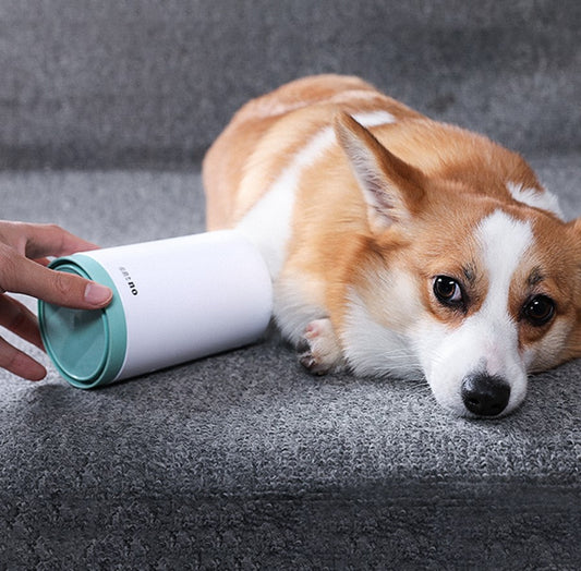 Portable Silicone Paw Cleaner