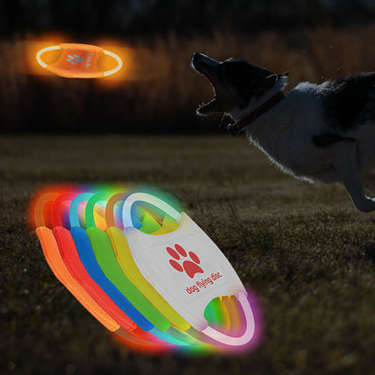LED Light Up Dog Disc