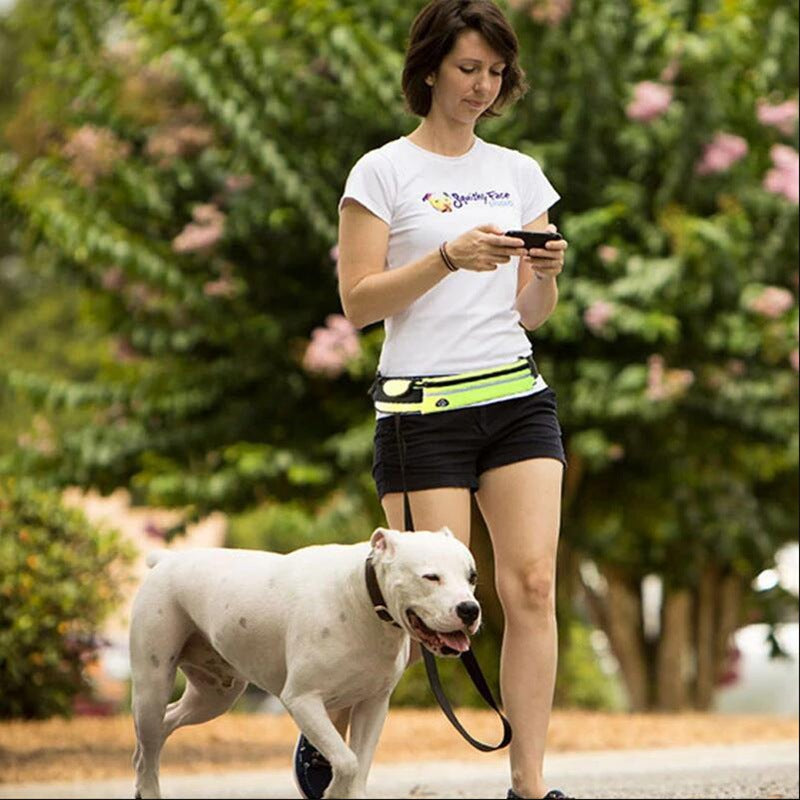 Hands Free Bungee Dog Leash