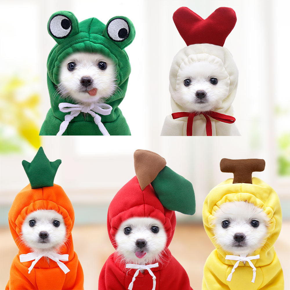 Cute Small Dog Hoodie
