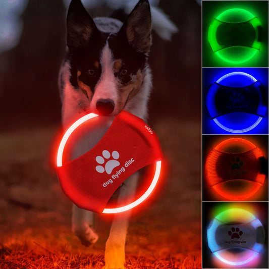 LED Light Up Dog Disc