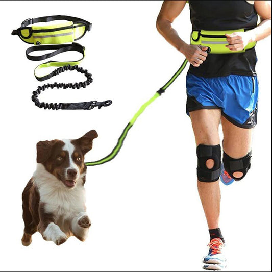 Hands Free Bungee Dog Leash