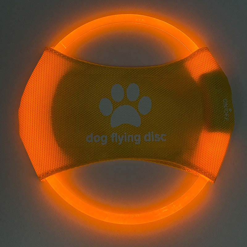 LED Light Up Dog Disc