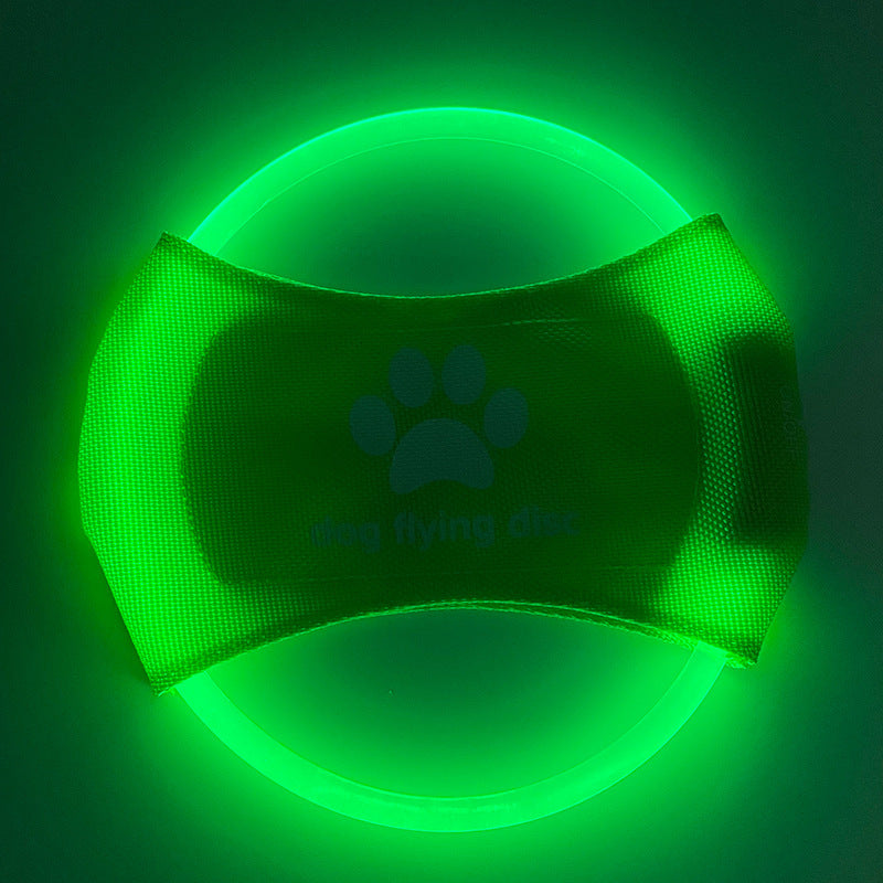 LED Light Up Dog Disc