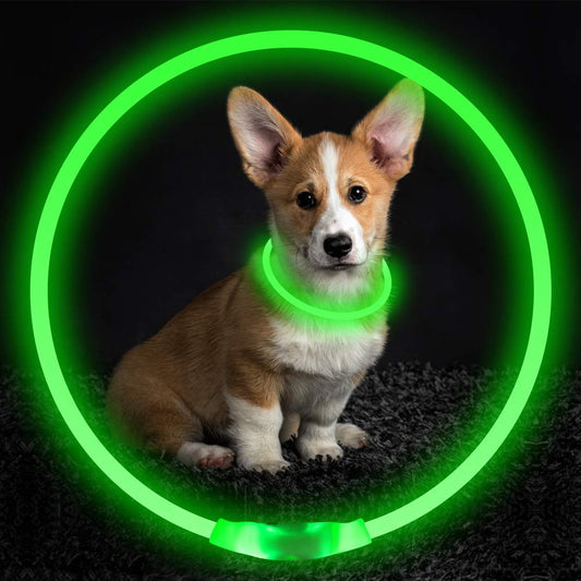 USB Rechargeable LED Dog Collar