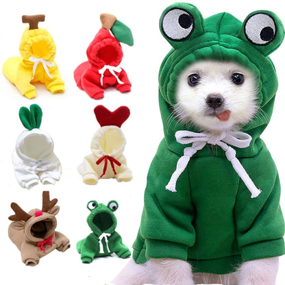 Cute Small Dog Hoodie
