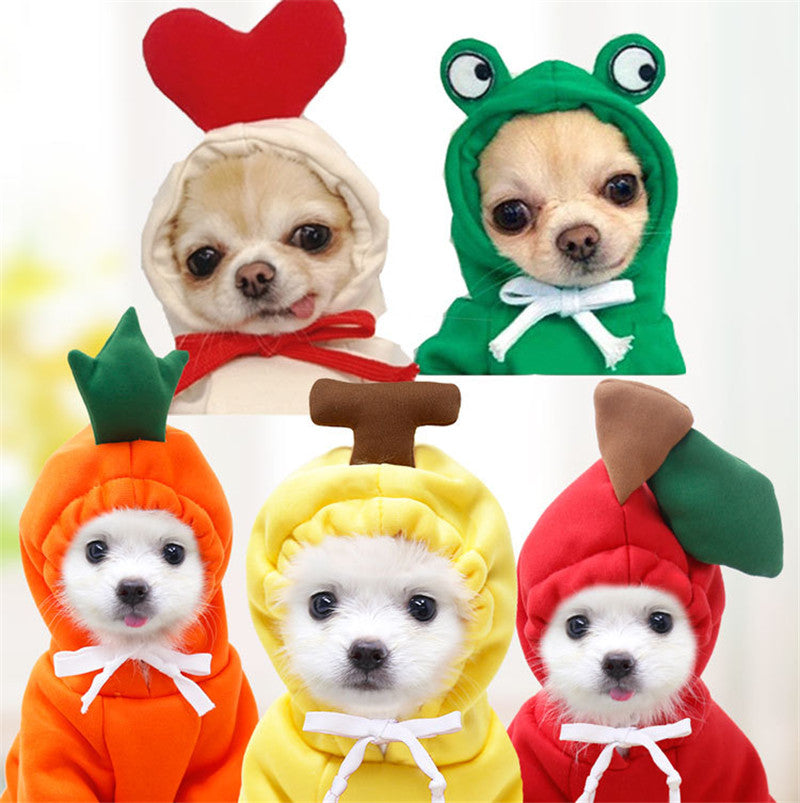 Cute Small Dog Hoodie