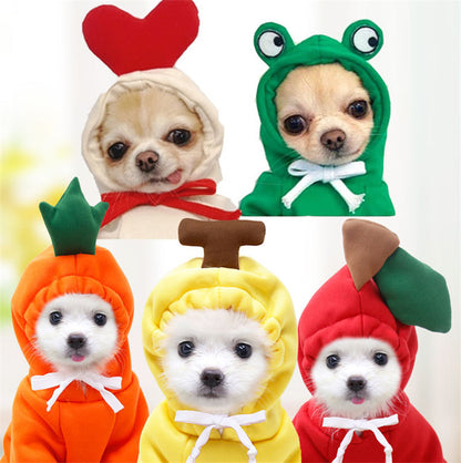 Cute Small Dog Hoodie