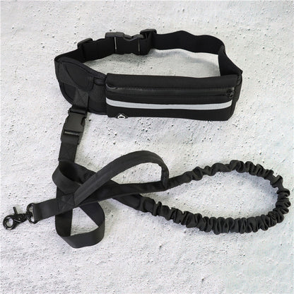 Hands Free Bungee Dog Leash