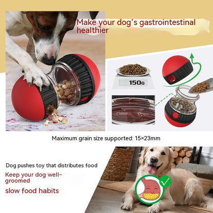 Interactive Slow Feeder Ball