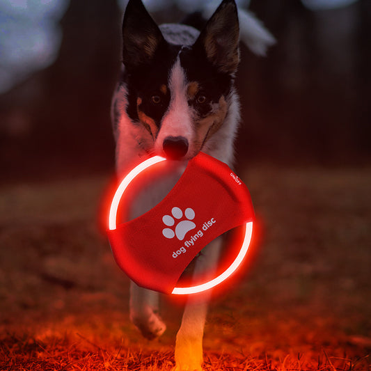 LED Light Up Dog Disc