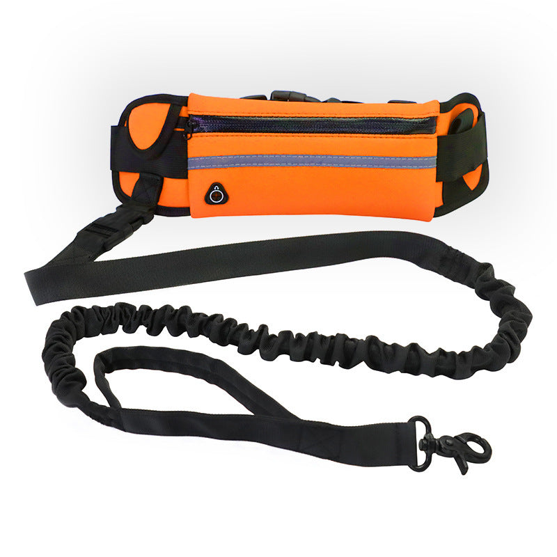 Hands Free Bungee Dog Leash