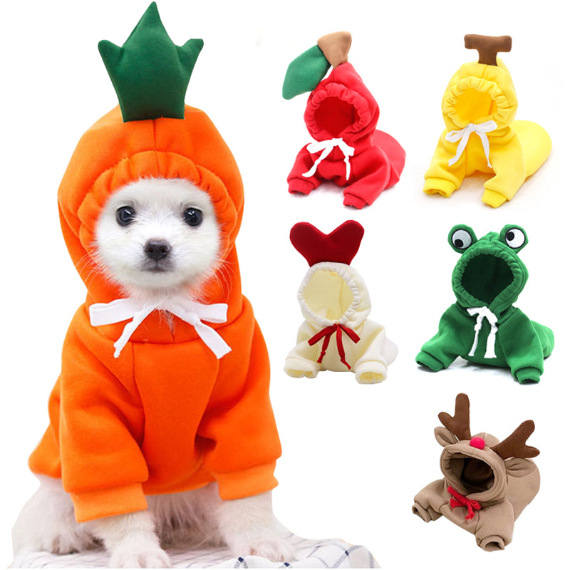Cute Small Dog Hoodie