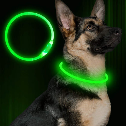 USB Rechargeable LED Dog Collar