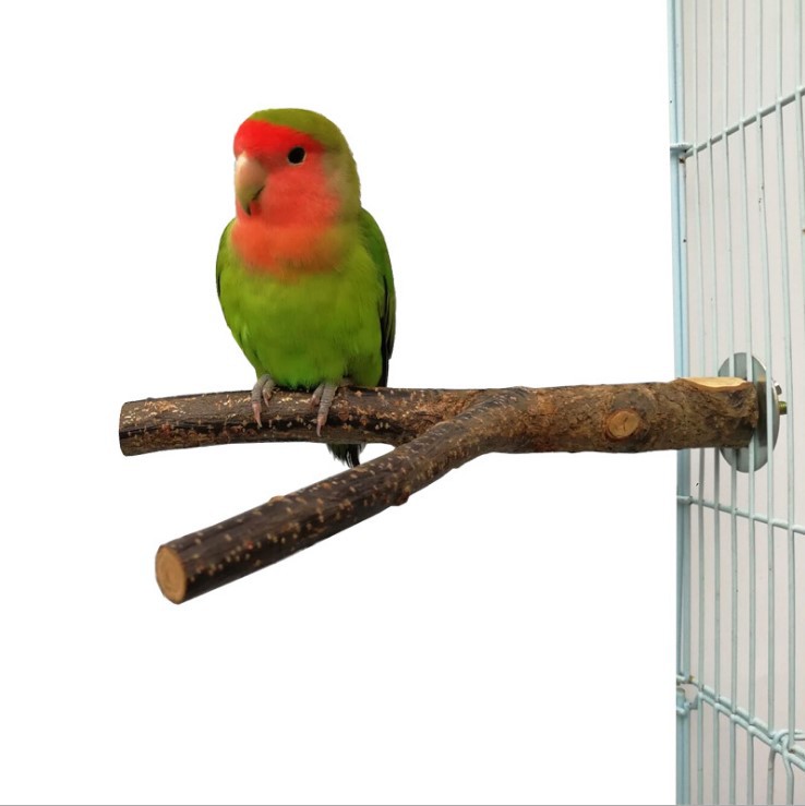Rattan Bird Chew Toy