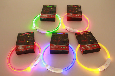 USB Rechargeable LED Dog Collar