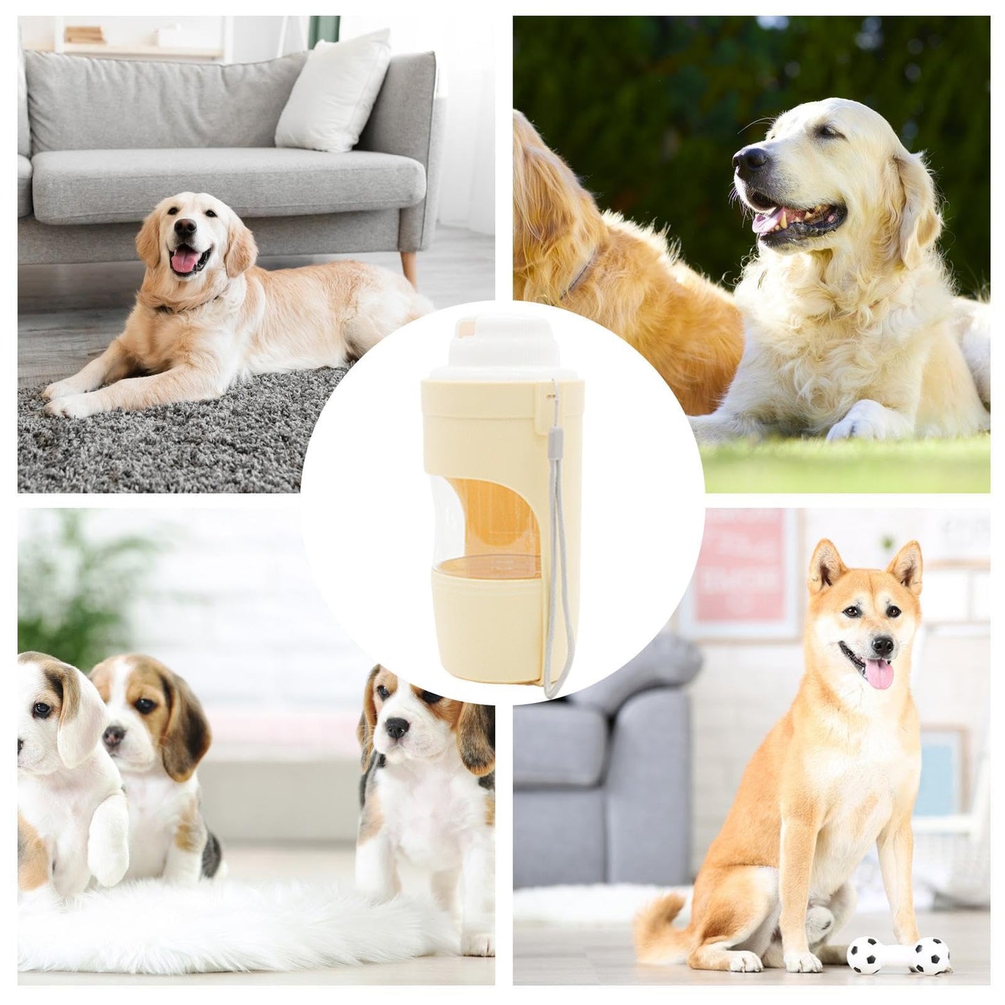 2 in 1 Travel Dog Water Bottle
