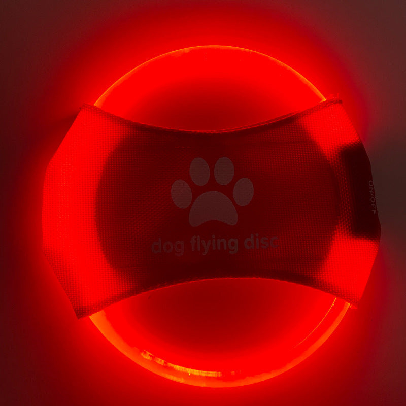 LED Light Up Dog Disc